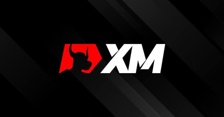 XM Reviews And how to Recover your money Back from XM scam