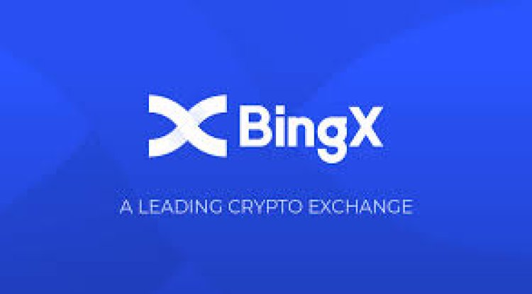 Bingx Reviews And how to Recover your money Back from Bingx scam ...