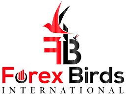 Forexbirds Reviews And how to Recover your money Back from Forexbirds scam