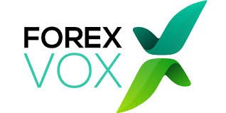 ForexVox Reviews And how to Recover your money Back from ForexVox scam