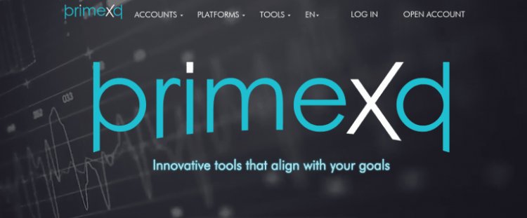 PRIMEXQ Reviews And how to Recover your money Back from PRIMEXQ scam