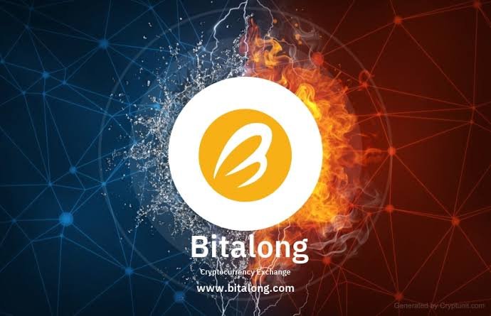 Bitalong Reviews And how to Recover your money Back from Bitalong scam