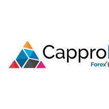 Capprofx Reviews And How To Recover Your Money Back From Capprofx Scam