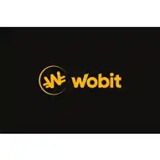 Wobit Reviews And How To Recover Your Money Back From Wobit Scam