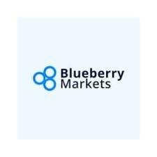 Blueberry Markets Reviews And How To Recover Your Money Back From Blueberry Markets Scam