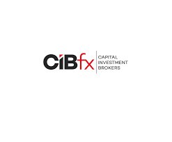 CIBfx Reviews And How To Recover Your Money Back From CIBfx Scam