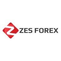 ZES Forex Reviews And How To Recover Your Money Back From ZES Forex Scam