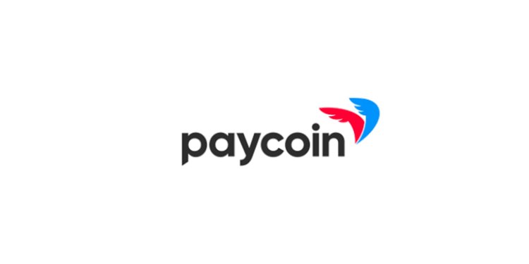 PayCoin Reviews And How To Recover Your Money Back From PayCoin Scam